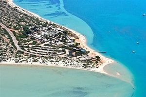 モンキーマイアドルフィンリゾート