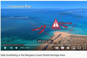 ケープレンジ国立公園のビーチでシュノーケルを楽しむ際の注意が分かるユーチューブ