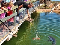 モンキーマイアオーシャンパークアクアリウム