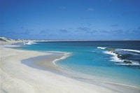 エクスマウスオイスタースタックススノーケリング