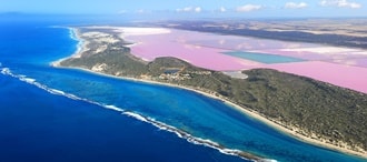 ピンクレイクカルバリー