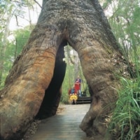 バレーオブザジャイアントアンシェントエンパイアーウォーク