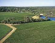 ブルックランドバレーワイナリー