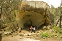 ウエーブロックヒッポーズヤーン