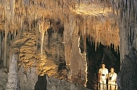 マーガレットリバーマンモスケーブ