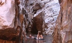 レッドバンクゴージ