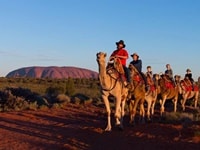 ウルル・ラクダ・サンライズ・サンセットツアーエアーズロック