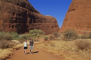 カタジュタ風の谷ウォーキングトレイル