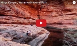 キングスキャニオンウォークイメージビデオ