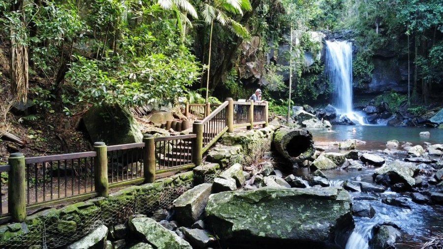 カーティスフォールス