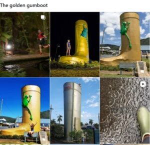 インスタグラムでThe golden gumboot での投稿画像