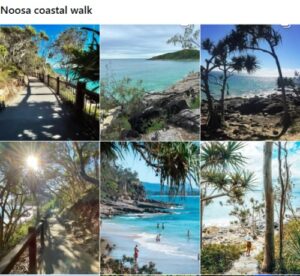 インスタグラムでNoosa coastal walk での投稿画像