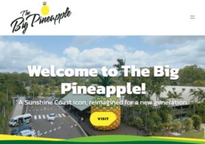 ザ・ビッグ・パイナップルの公式サイト