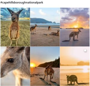 インスタグラムでの#capehillsboroughnationalpark検索結果
