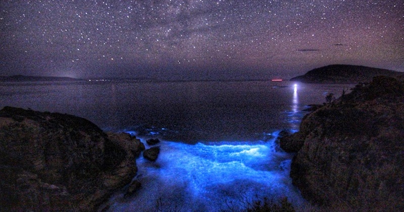 タスマニアホバートで青白い光のビーチを撮影