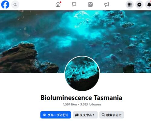 シースパークル/Bioluminescenceタスマニアフェイスブックグループ
