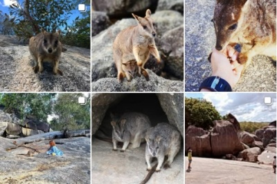 グラナイトゴージ・ネイチャーパークのインスタグラム投稿