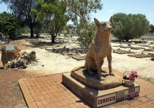 Corrigin Dog Cemetery