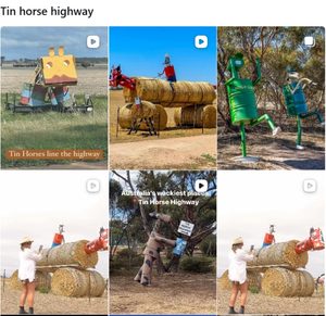 Tin Horse Highway でのインスタグラム検索結果
