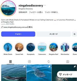 Ningaloo Discovery Whale Shark Tours のインスタグラムページ