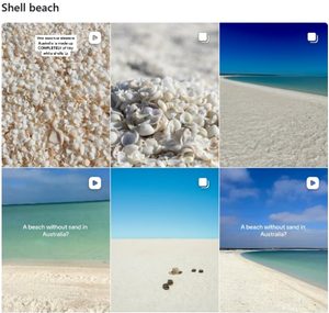 Shell Beach でのインスタグラム検索結果