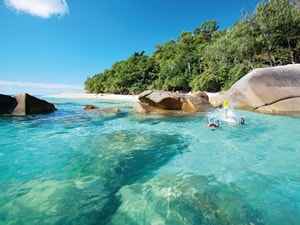 フィッツロイアイランドシュノーケル