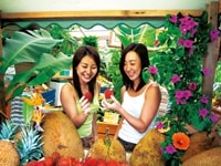 トロピカル・フルーツ・ワールド