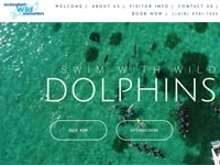 ロッキンハム 野生イルカと泳ぐツアー