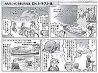 ロットネス島観光をマンガで紹介