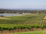 ハンターバレー・ワイナリー